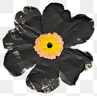 PNG Flower black ripped paper petal plant white background.