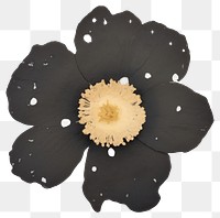 PNG Flower black ripped paper nature petal plant.