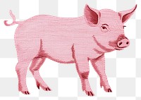 PNG Pink pig in embroidery style mammal animal boar.