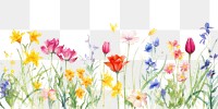 PNG  Colorful spring flowers nature backgrounds outdoors.