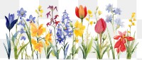 PNG  Colorful spring flowers nature painting outdoors.