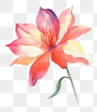 PNG  Colorful vintage flower petal plant lily.