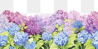 PNG  Hydrangea field backgrounds outdoors blossom.