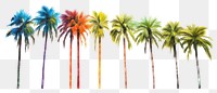 PNG  Palm tree nature backgrounds outdoors.