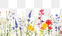 PNG  Summer flower nature backgrounds outdoors.