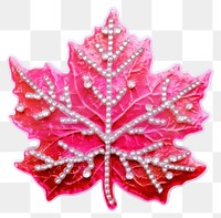PNG  Maple leaf plant white background accessories. AI generated Image by rawpixel.