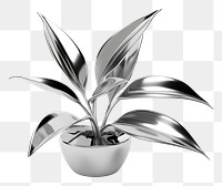 PNG Plant Chrome material leaf white background houseplant.