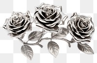 PNG Roses Chrome material jewelry flower silver.