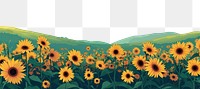 PNG Sunflowers landscape backgrounds outdoors.