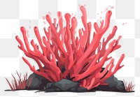 PNG  Red algae outdoors red white background.