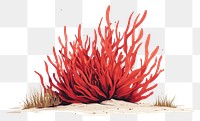 PNG  Red algae outdoors nature plant.