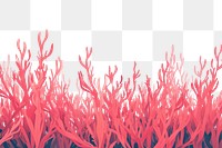 PNG  Red algae backgrounds outdoors nature.