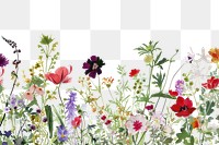 PNG  Flower nature backgrounds outdoors