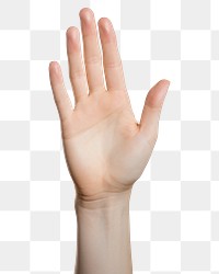 PNG A female hand palm finger white background gesturing.
