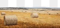 PNG  Hay bales landscape outdoors nature.