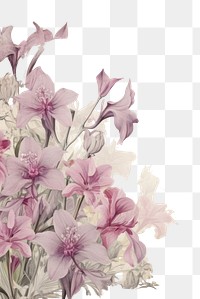 PNG Orchid border backgrounds blossom pattern.
