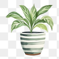 PNG Plant pot vase leaf white background. AI generated Image by rawpixel.