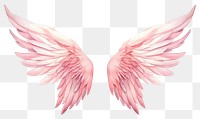 PNG  Wings white background creativity blossom. AI generated Image by rawpixel.