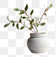 PNG Kitchen table windowsill plant. AI generated Image by rawpixel.