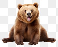 PNG Smiling bear wildlife mammal animal. AI generated Image by rawpixel.