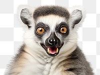 PNG Smiling lemur wildlife animal mammal. AI generated Image by rawpixel.