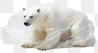 PNG  A polar bear wildlife plastic animal.