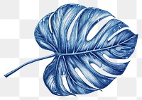 PNG  Antique of tropical leaf drawing sketch plant.