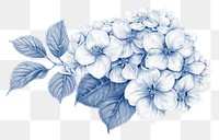 PNG  Antique of hydrangea drawing sketch pattern.