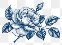 PNG  Antique of rose drawing sketch pattern.