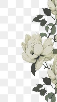 PNG Black line magnolia flowers backgrounds pattern plant.