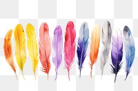PNG Feathers white background lightweight accessories.