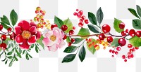 PNG Winterberry and Camellia blossom flower nature.