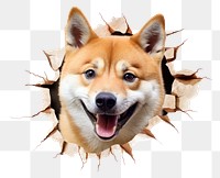 PNG Happy shiba portrait mammal animal