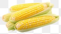 PNG Several pieces of corn plant food white background.
