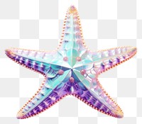 PNG Starfish border white background invertebrate creativity.