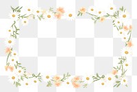 PNG  Daisy flower frame backgrounds pattern plant. AI generated Image by rawpixel.