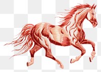 PNG Embroidery of a horse border drawing animal mammal.