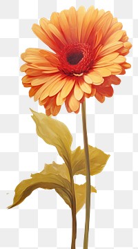 PNG Gerbera flower pattern painting yellow petal. AI generated Image by rawpixel.