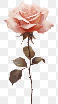 PNG Rose petals painting flower plant AI generated Image by rawpixel