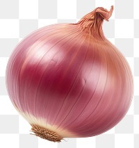 PNG Onion vegetable shallot plant.