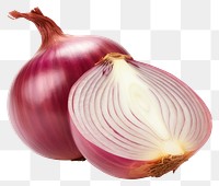 PNG Onion vegetable shallot plant