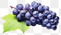 PNG Grapes bunch blueberry fruit plant.