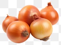 PNG Onion bulbs vegetable shallot plant.