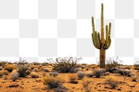 PNG Arizona landscape outdoors cactus nature