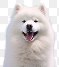 PNG Samoyed dog and sky mammal animal pet. AI generated Image by rawpixel.