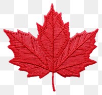 PNG Maple leaf in embroidery style plant tree starfish.