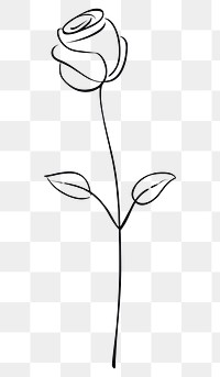 PNG Rose sketch drawing flower.