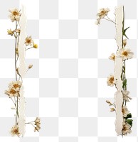 PNG floral torn paper border design