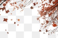 PNG  Autumn leaves backgrounds plant maple. AI generated Image by rawpixel.