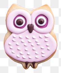 PNG Owl icing dessert cookie. 